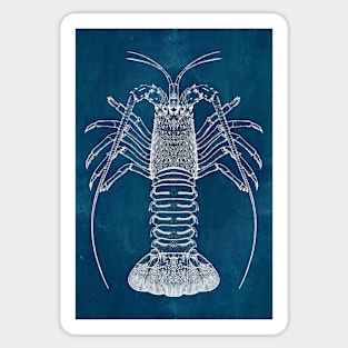 Lobster Blueprint Sticker